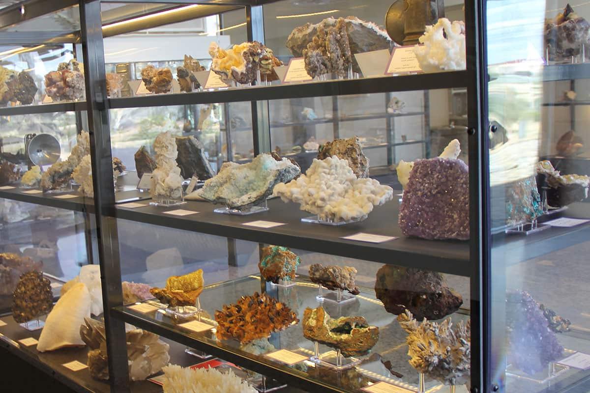 杜根博物馆的岩石展览